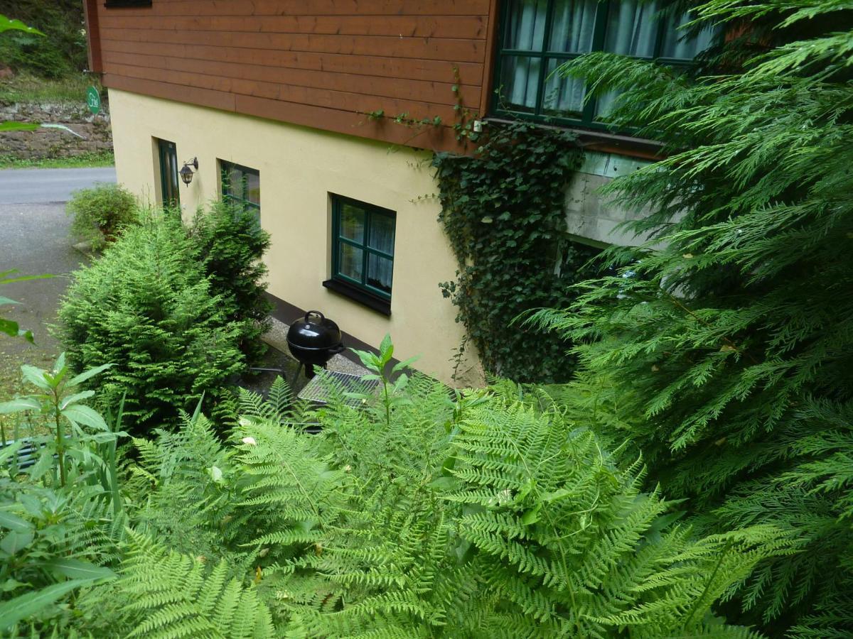 Ferienwohnung Uhu Neben Der Schrammsteinbaude Bad Schandau Exterior foto